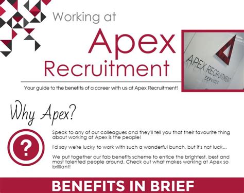 apex recruitment nz|Apex Recruitment Jobs in New Zealand, Job Vacancies .